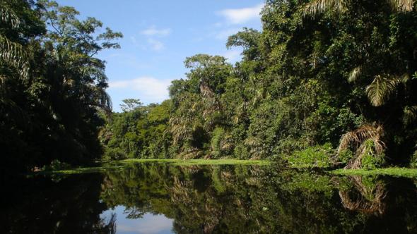 Национальный парк Тортугеро. Коста-Рика